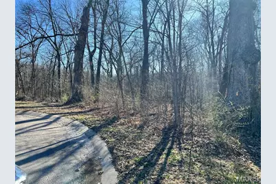 4 Acres Oak Ridge Pond Court Road, Hannibal, MO 63401 - Photo 1
