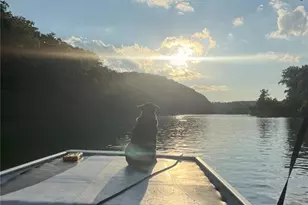 1 Rich Bark Ln, Van Buren, MO 63965 - Photo 49