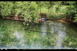 1 Rich Bark Ln, Van Buren, MO 63965 - Photo 5