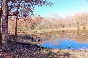 17 Deeker Ln, New Florence, MO 63363 - Photo 7