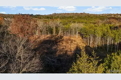 2244 Liberty Crossing Trail, Hillsboro, MO 63050 - Photo 15