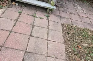 442 Dollie Dr, Villa Ridge, MO 63089 - Photo 15