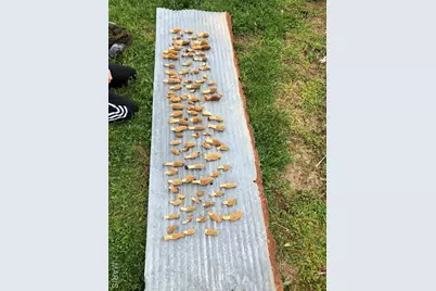 0 State Route 21, De Soto, MO 63020 - Photo 5