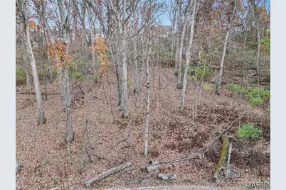 44 Mombert Drive, Ballwin, MO 63021 - Photo 3