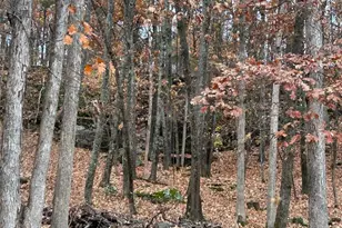 209 Epple-Fricke Dr, Hermann, MO 65041 - Photo 9