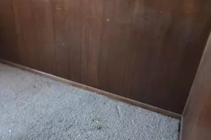 1067 Melvin Ave, Saint Louis, MO 63137 - Photo 29