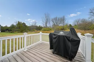 120 Dark Horse Ct, Wentzville, MO 63385 - Photo 23