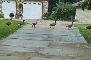 213 Lincoln Ln, Winfield, MO 63389 - Photo 51