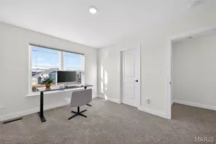 378 Valley Bluff Dr, Wentzville, MO 63385 - Photo 47