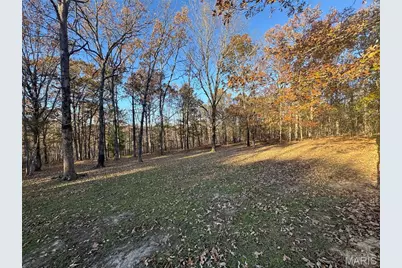 1301 Wayne 522, Wappapello, MO 63966 - Photo 21