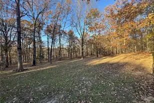 1301 Wayne 522, Wappapello, MO 63966 - Photo 21