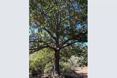 23 (Lot 2) Autumn Ridge Drive, Elsberry, MO 63343 - Photo 29