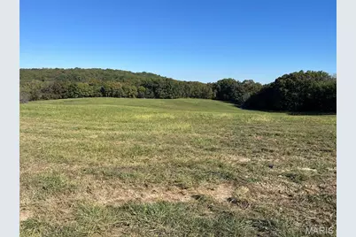 55 (Lot 6) Autumn Ridge Drive, Elsberry, MO 63343 - Photo 7