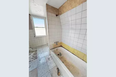 4427 Delor Street, Saint Louis, MO 63116 - Photo 13