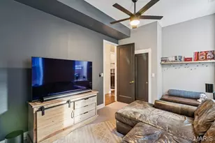 3434 S Jefferson Ave, Saint Louis, MO 63118 - Photo 23