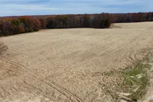 Tract 4 Polston Ln, Marthasville, MO 63357 - Photo 1