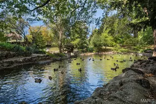 1201 MacKay Pl, Saint Louis, MO 63104 - Photo 77