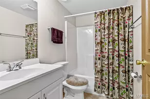 1434 Moose Pass, Festus, MO 63028 - Photo 37