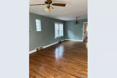 6317 Potomac Street, Saint Louis, MO 63139 - Photo 3