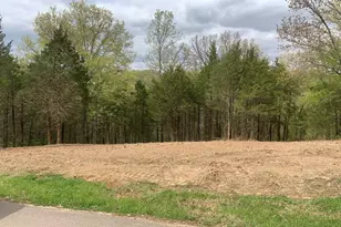 11524 Ten Pt Ln, Festus, MO 63028 - Photo 1