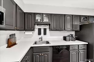 10032 Sakura Dr, Saint Louis, MO 63128 - Photo 9