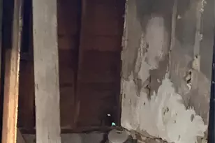 3851 Illinois Ave, Saint Louis, MO 63118 - Photo 5