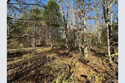 0 Mo-Hh, Salem, MO 65560 - Photo 13