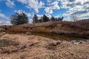 22856 Hwy 32, Bellerive, MO 63623 - Photo 27