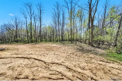 0 The Dogwood@the Ests @ Schaper Farms, Foristell, MO 63348 - Photo 45