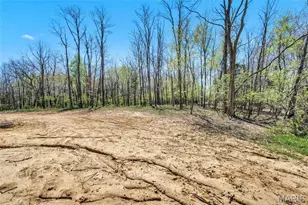 0 The Dogwood@the Ests @ Schaper Farms, Foristell, MO 63348 - Photo 45