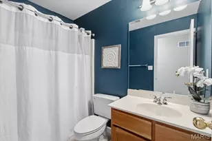 419 S Geyer Rd, Saint Louis, MO 63122 - Photo 47