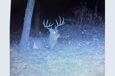 000 Mo-V, Union, MO 63084 - Photo 7