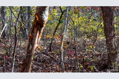 000 Mo-V, Union, MO 63084 - Photo 33