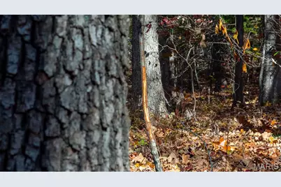 000 Mo-V, Union, MO 63084 - Photo 35