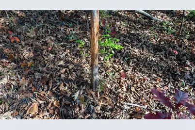 000 Mo-V, Union, MO 63084 - Photo 25