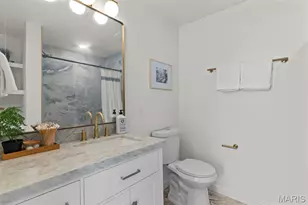 4258 Swan Ave, Saint Louis, MO 63110 - Photo 21