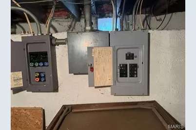 423 Degenhardt Avenue, Saint Louis, MO 63125 - Photo 29