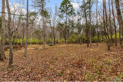 3701 Bear Tooth Lane, Wildwood, MO 63069 - Photo 5