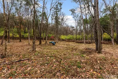 3701 Bear Tooth Lane, Wildwood, MO 63069 - Photo 7