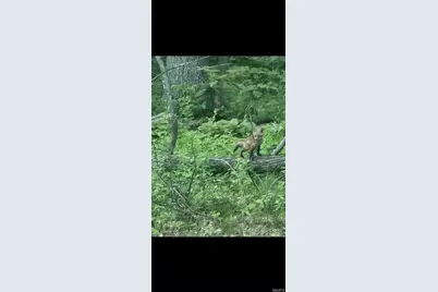 1835 Rock Springs Road, Wright City, MO 63390 - Photo 37