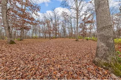 1835 Rock Springs Road, Wright City, MO 63390 - Photo 33