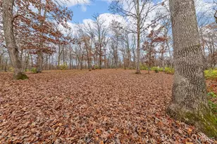 1835 Rock Springs Rd, Wright City, MO 63390 - Photo 33