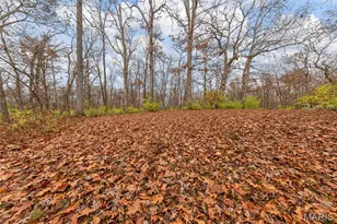 1835 Rock Springs Rd, Wright City, MO 63390 - Photo 35