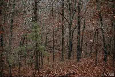 1950 Lake Forest Drive, Park Hills, MO 63601 - Photo 25