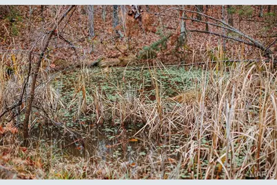 1950 Lake Forest Drive, Park Hills, MO 63601 - Photo 33