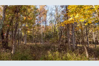 000 Oak Forest Road, Bland, MO 65014 - Photo 29