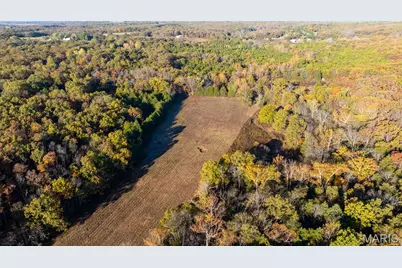 000 Oak Forest Road, Bland, MO 65014 - Photo 1