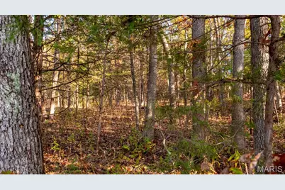 000 Oak Forest Road, Bland, MO 65014 - Photo 23