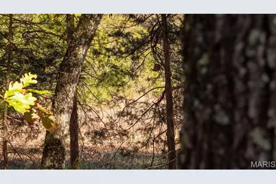 000 Oak Forest Road, Bland, MO 65014 - Photo 27