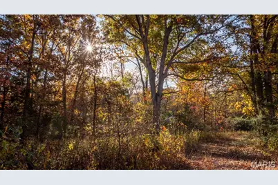 000 Oak Forest Road, Bland, MO 65014 - Photo 33